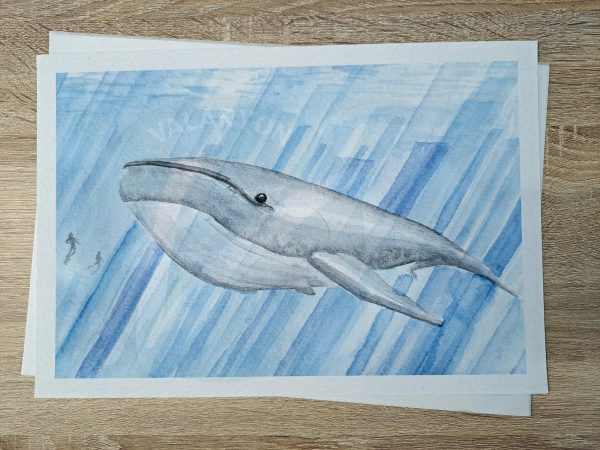 Whale Print - Image 2