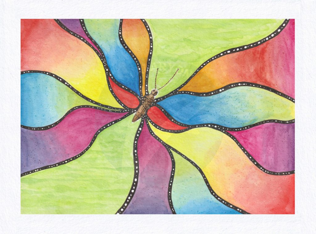 Butterfly