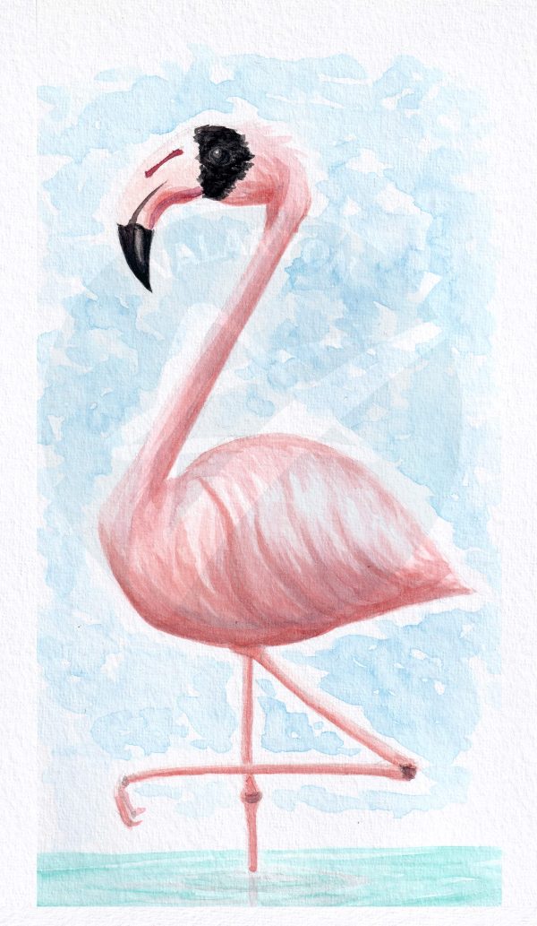 Flamingo Print