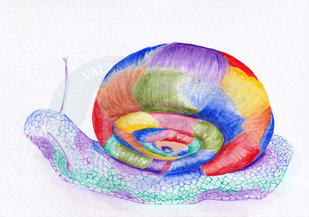 Shiny Snail