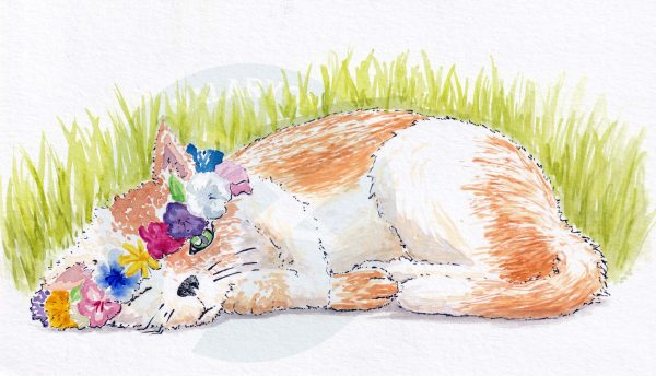 Flower Cat Print