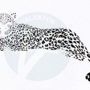 Leopard Acrylic Sticker