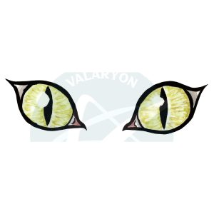 Cat Eyes Acrylic Sticker