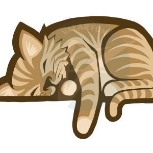 Sleeping Cat Acrylic Sticker