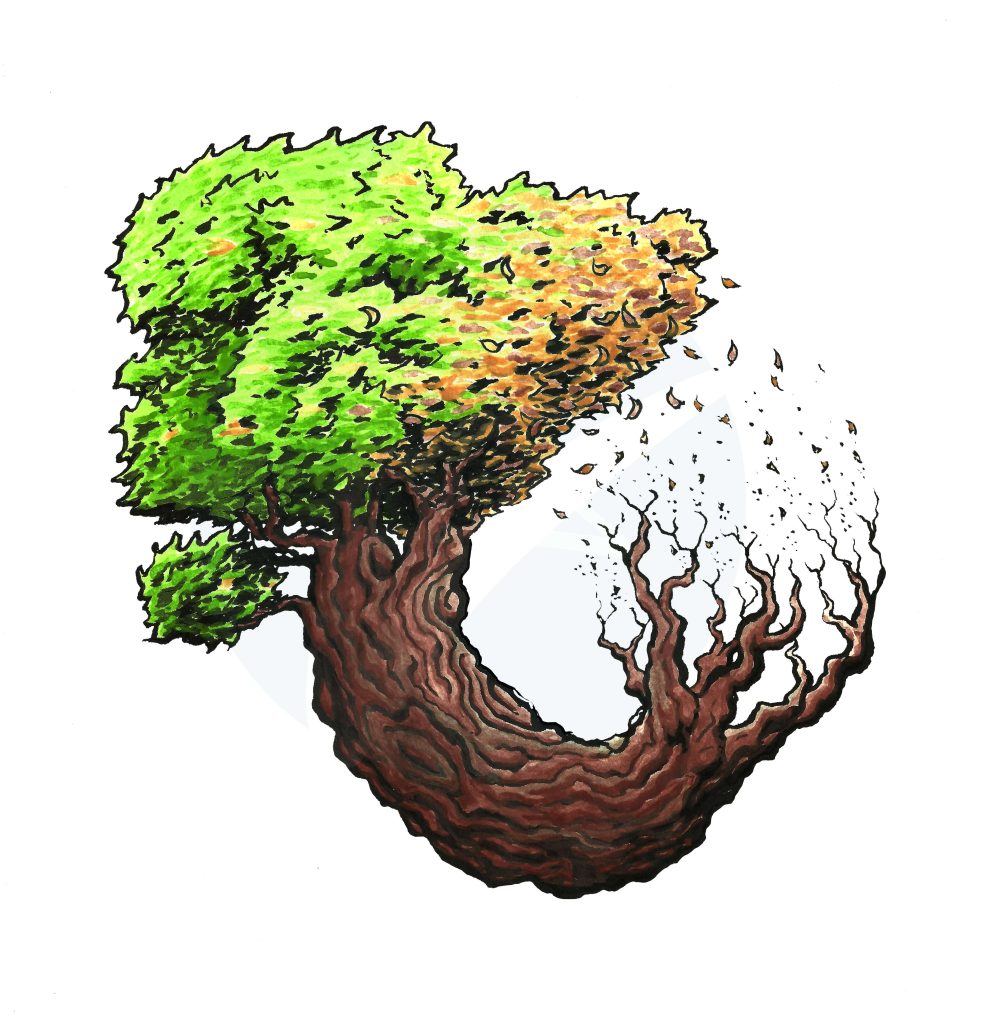 Tree Cycle Acrylic Sticker