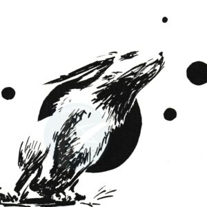 Hare