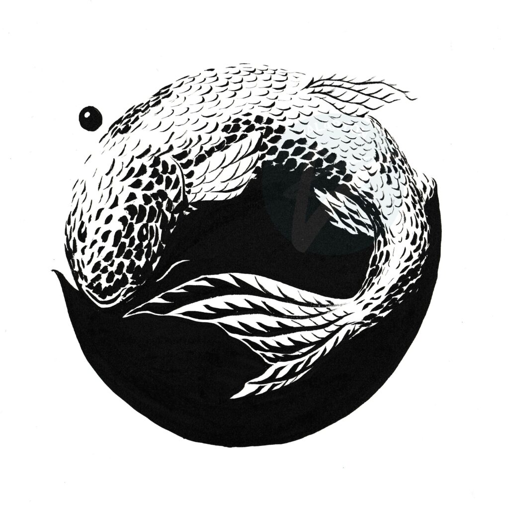 Koi