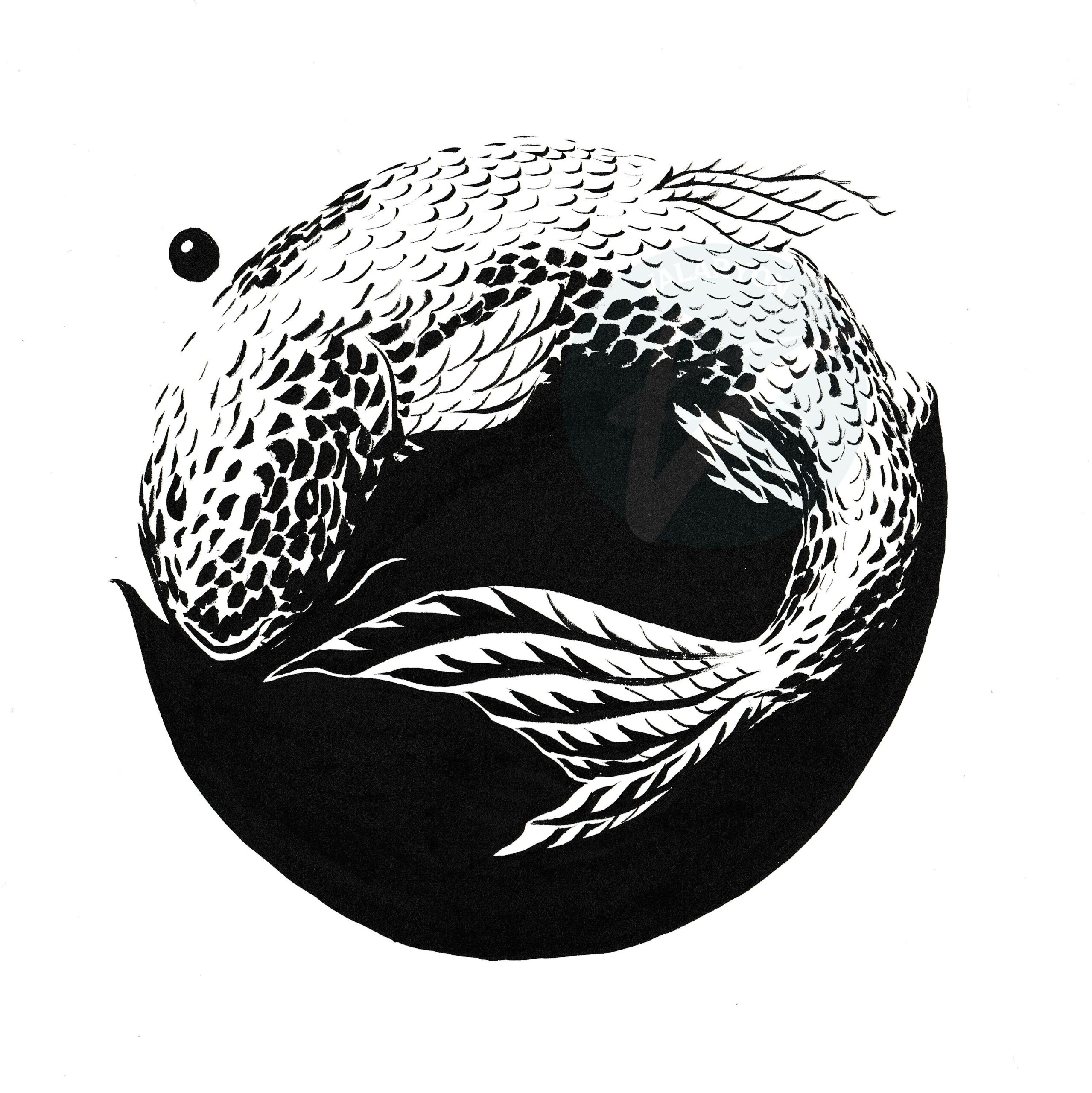Koi