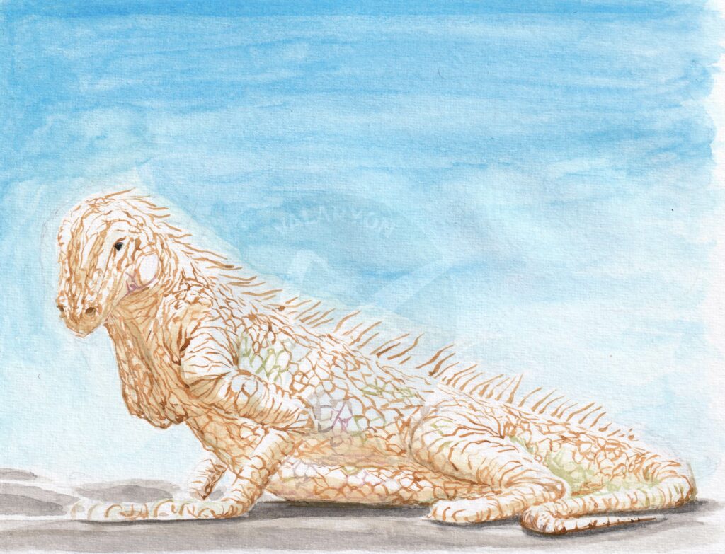 Iguana