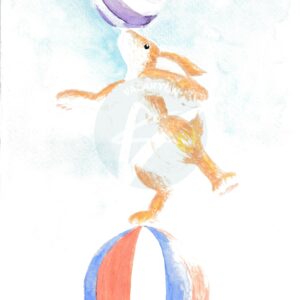 Circus Bunny