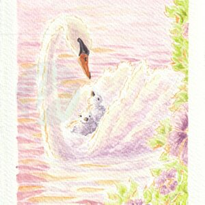 Mother Swan