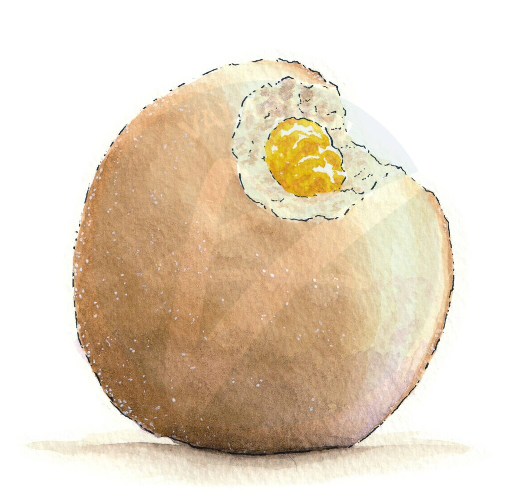 Berliner