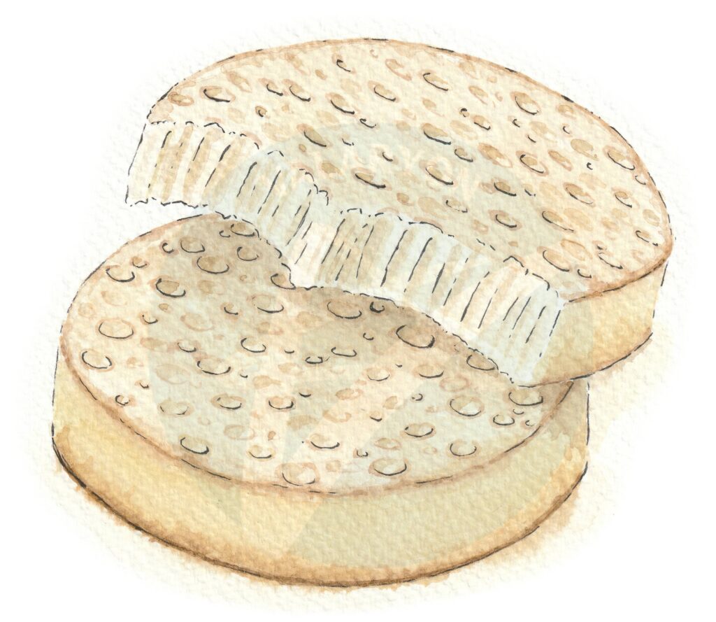 Crumpet