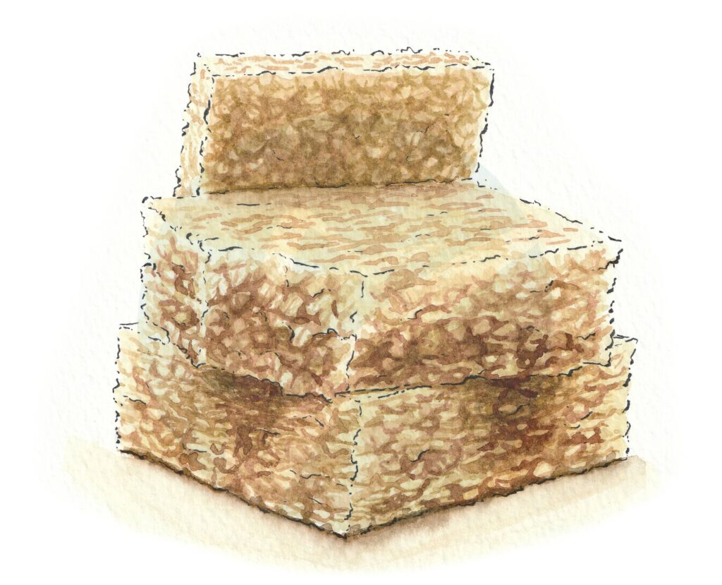 Flapjack
