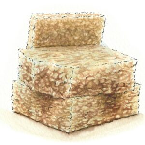 Flapjack