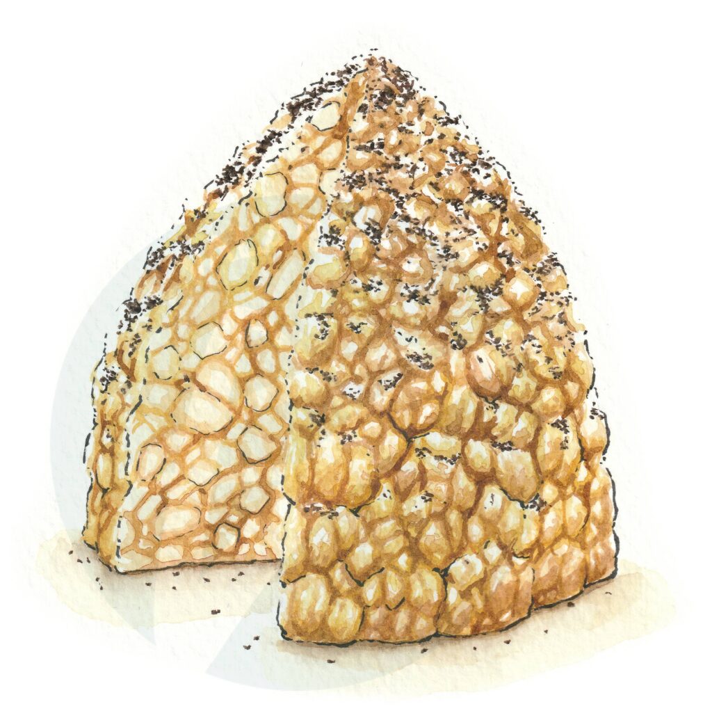 Muraveinik